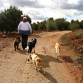 Paseando con papá